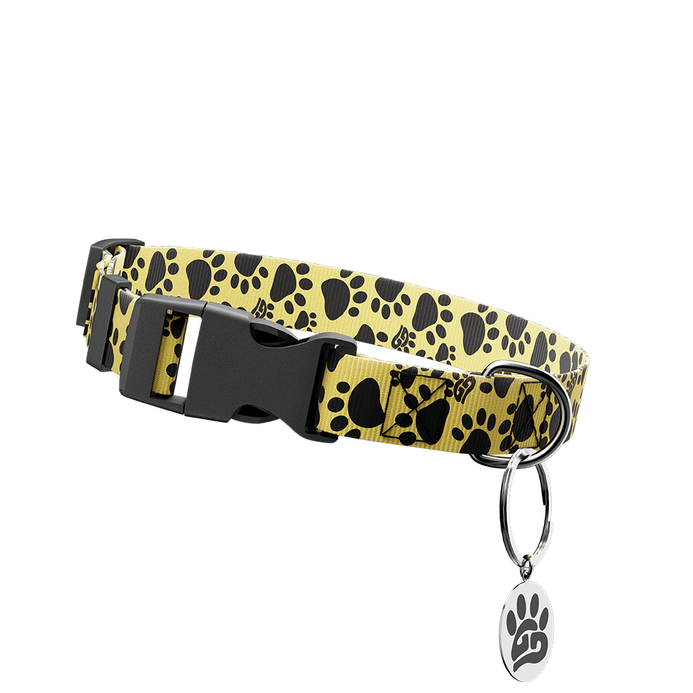 WOOF: Dog Leash & Collar