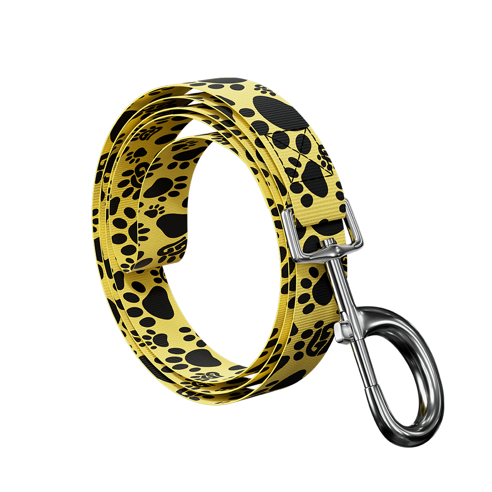 WOOF: Dog Leash & Collar