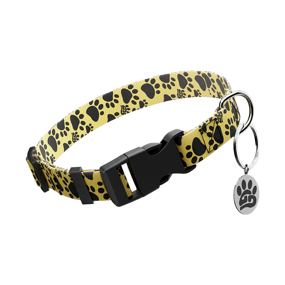 WOOF: Dog Leash & Collar