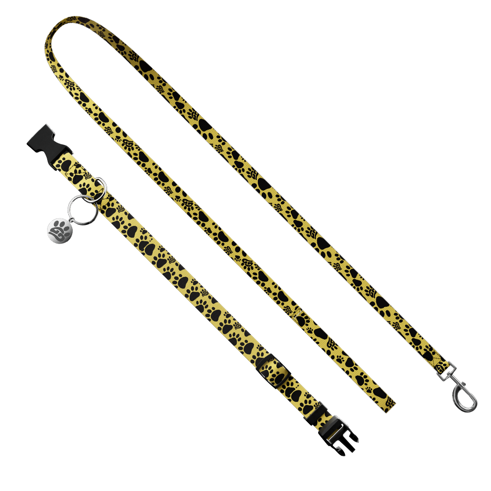 WOOF: Dog Leash & Collar