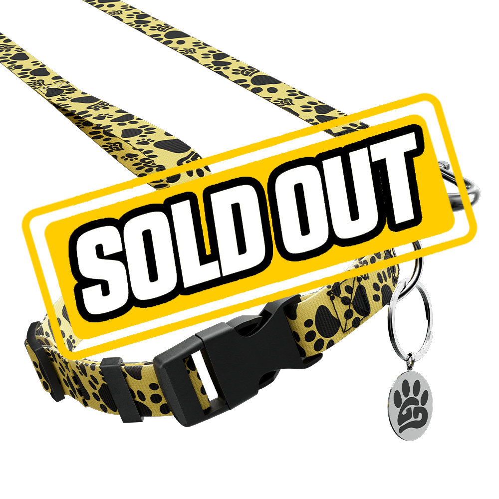 WOOF: Dog Leash & Collar